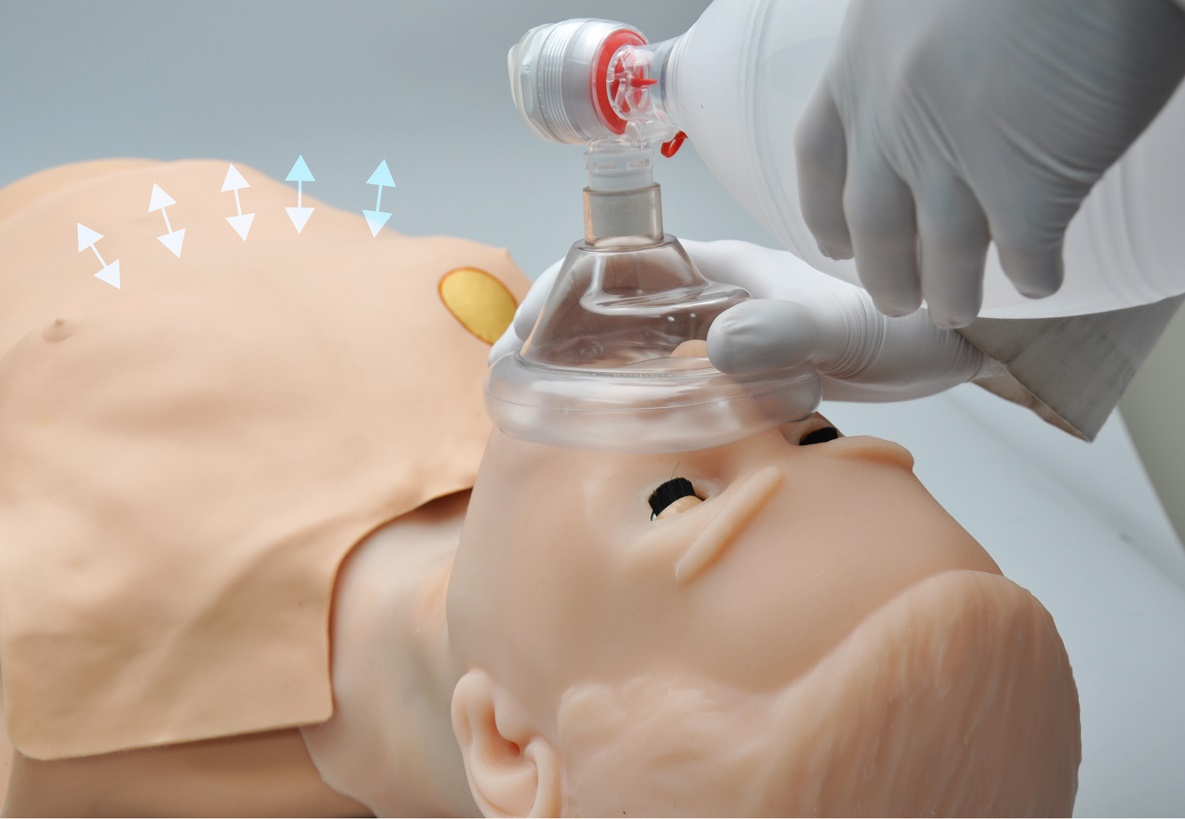 1018867_04_HAL-CPR-D-Trainer-mit-Feedback1
