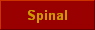Spinal
