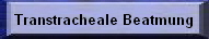 Transtracheale Beatmung