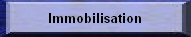 Immobilisation