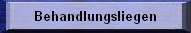 Behandlungsliegen